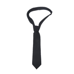 TI149 custom-made student tie group order net color tie style non-profit group uniform team custom tie manufacturer TI149 custom-made student tie group order net color tie style non-profit group uniform team custom tie manufacturer